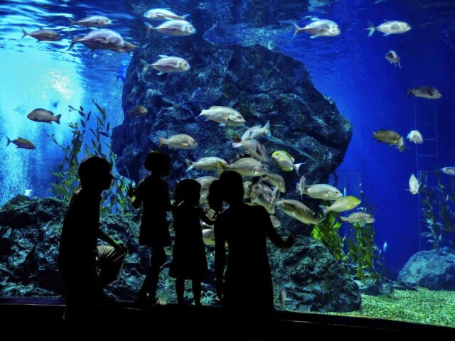 post_capetown_01 https://conchholidays.com/wp-content/uploads/2018/08/post_capetown_01-640x480.jpg