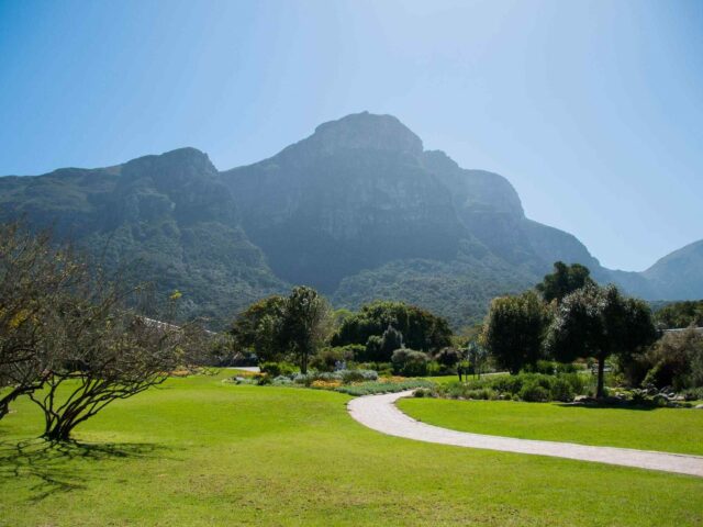 post_capetown_04 https://conchholidays.com/wp-content/uploads/2018/08/post_capetown_04-640x480.jpg