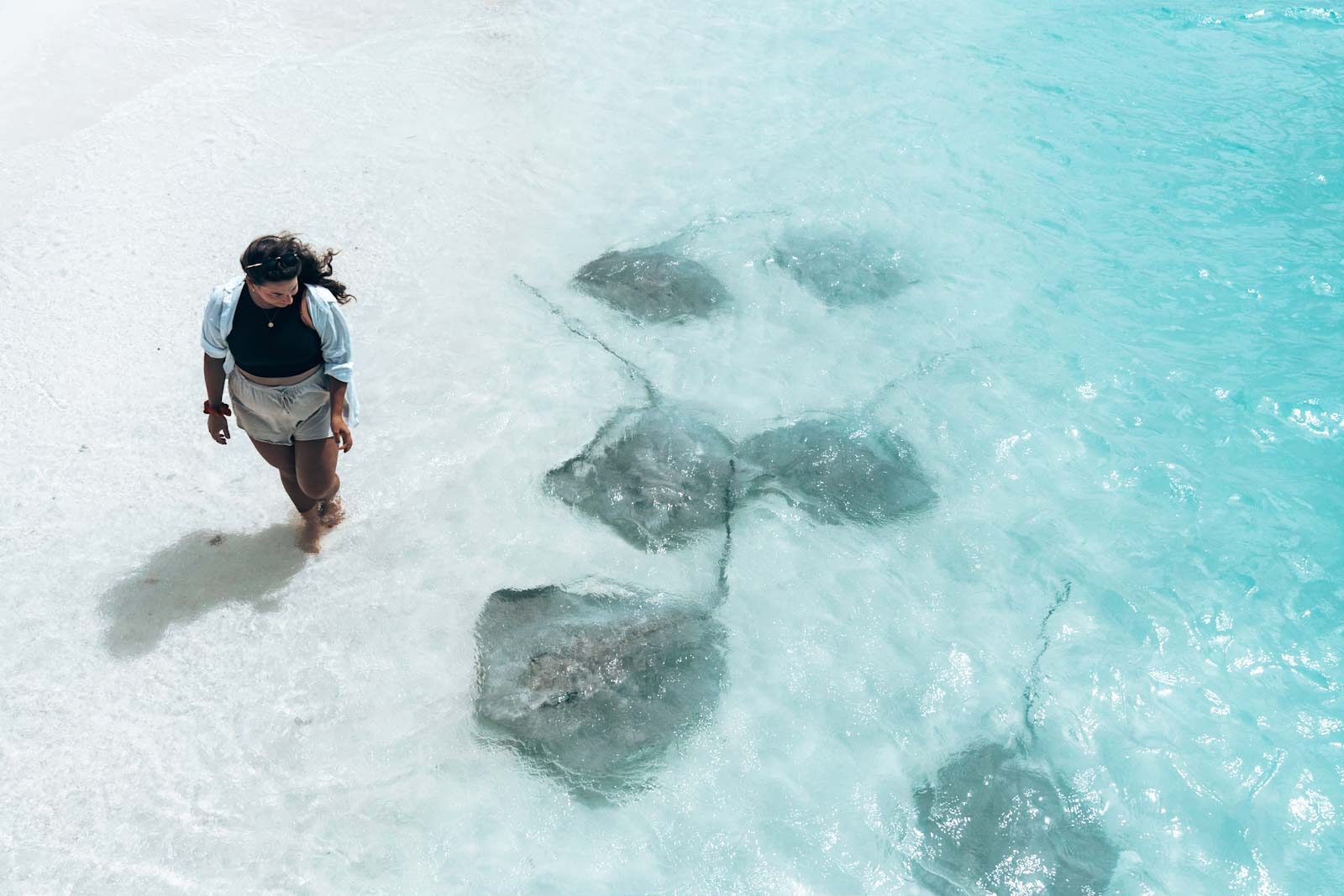 Fulidhoo-island-sting-rays-conch