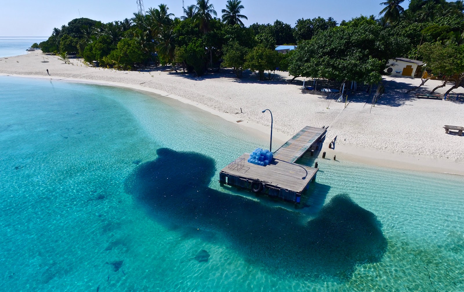 arrival-jetty-fulidhoo-conch-holidays-maldives