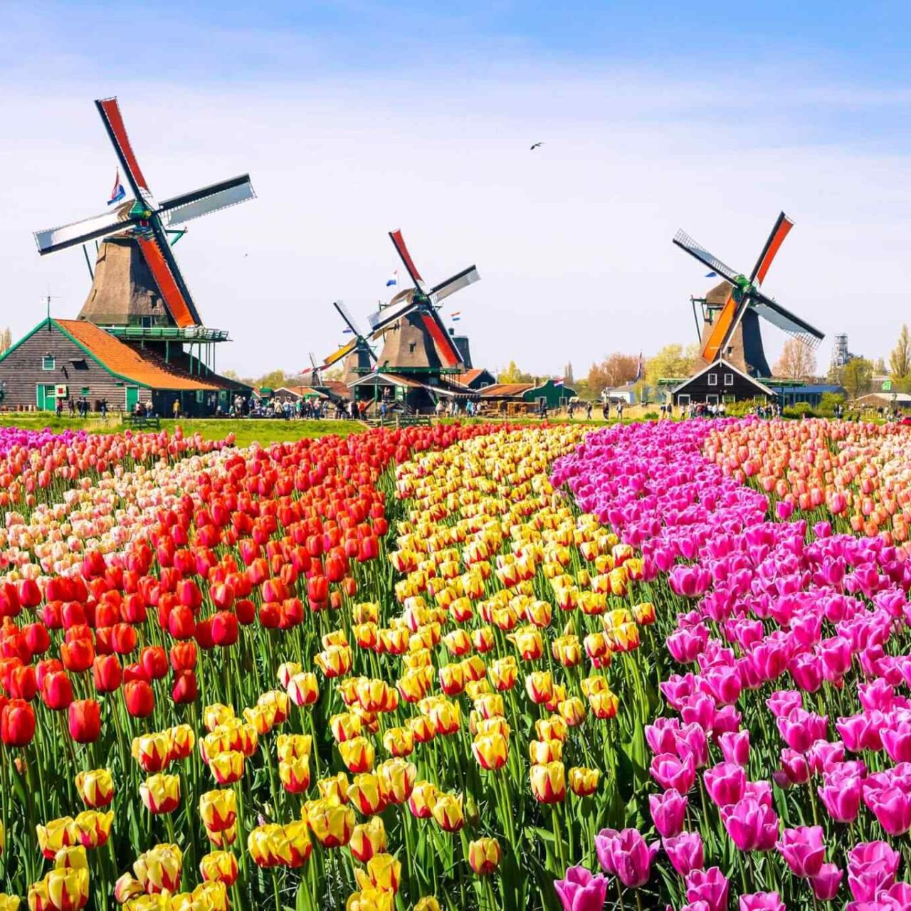 https://conchholidays.com/wp-content/uploads/2018/09/destination-netherlands-01-1280x1280.jpg