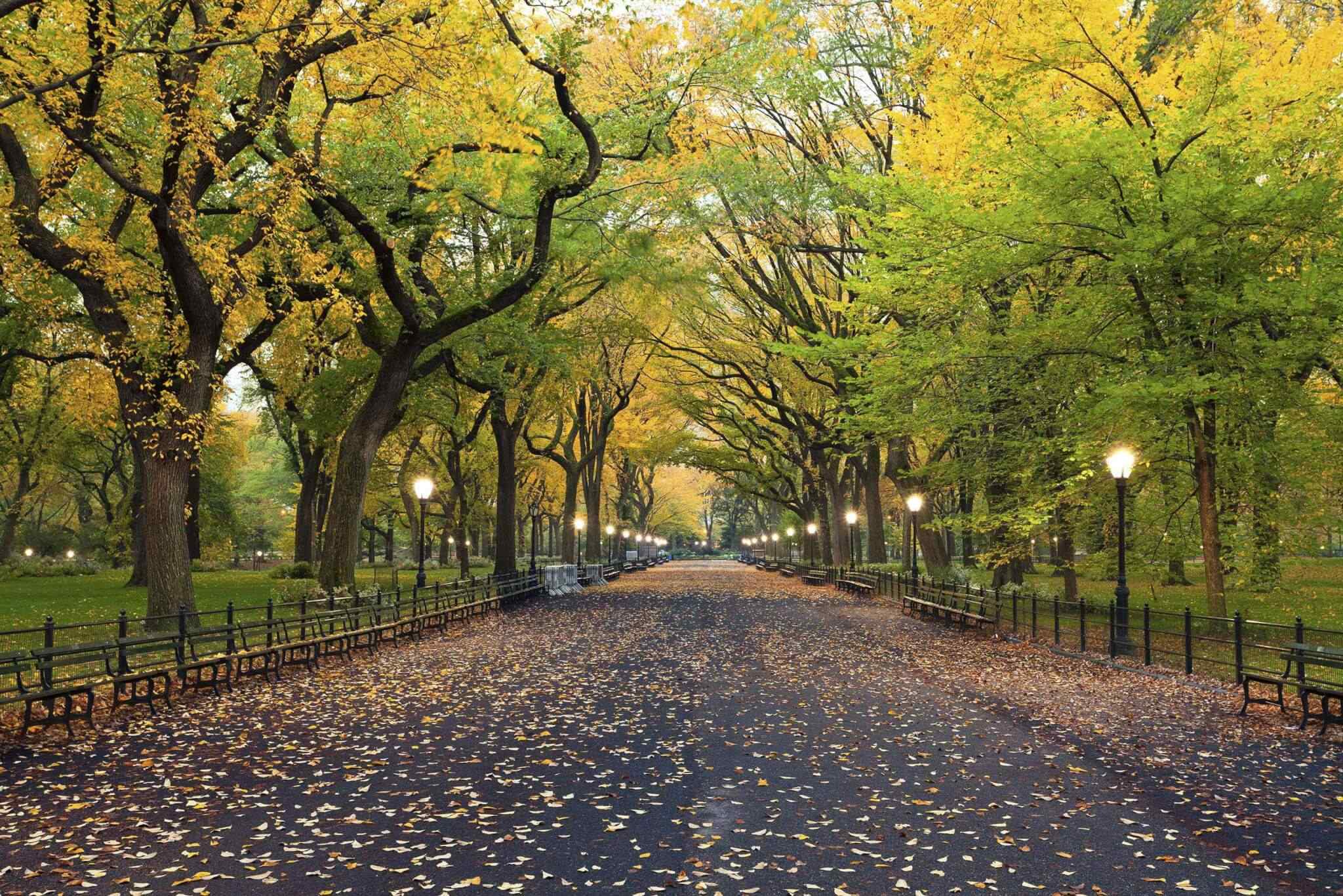 https://conchholidays.com/wp-content/uploads/2018/09/destination-new-york-02.jpg