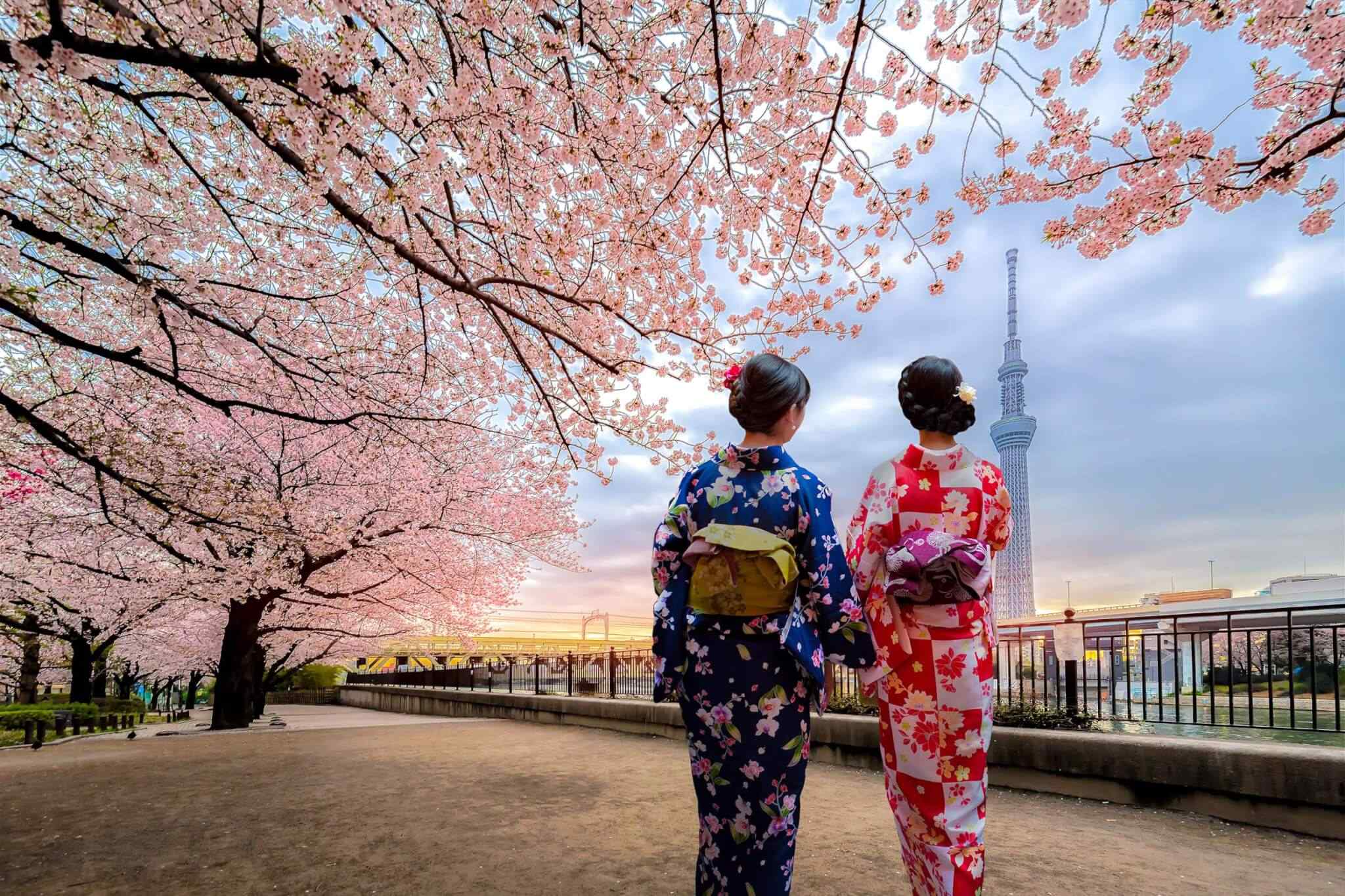 https://conchholidays.com/wp-content/uploads/2018/09/destination-tokyo-03.jpg