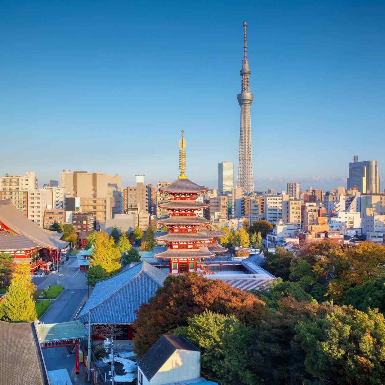 https://conchholidays.com/wp-content/uploads/2018/09/destination-tokyo-04-1280x1280.jpg