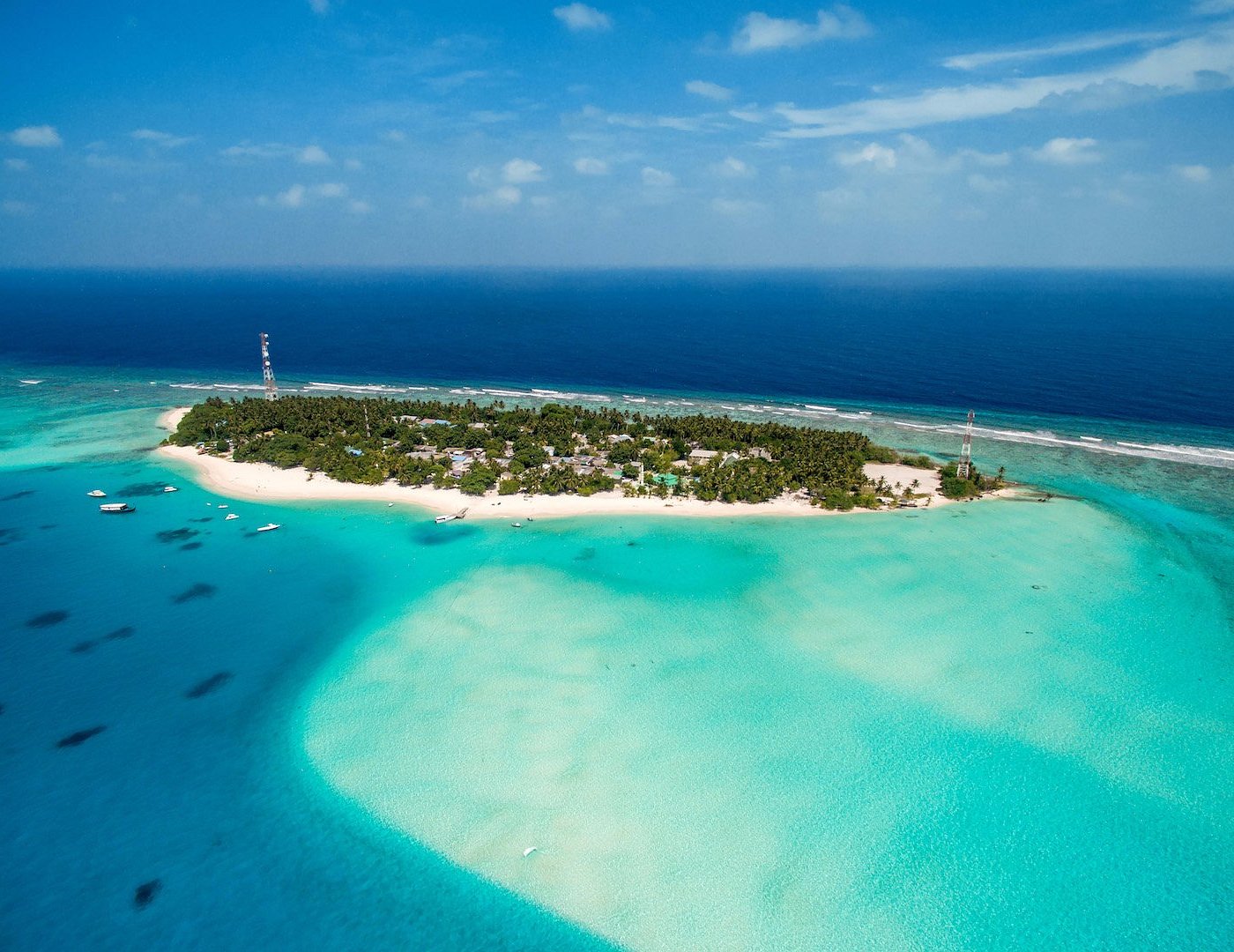 fulidhoo-vaavu-conch