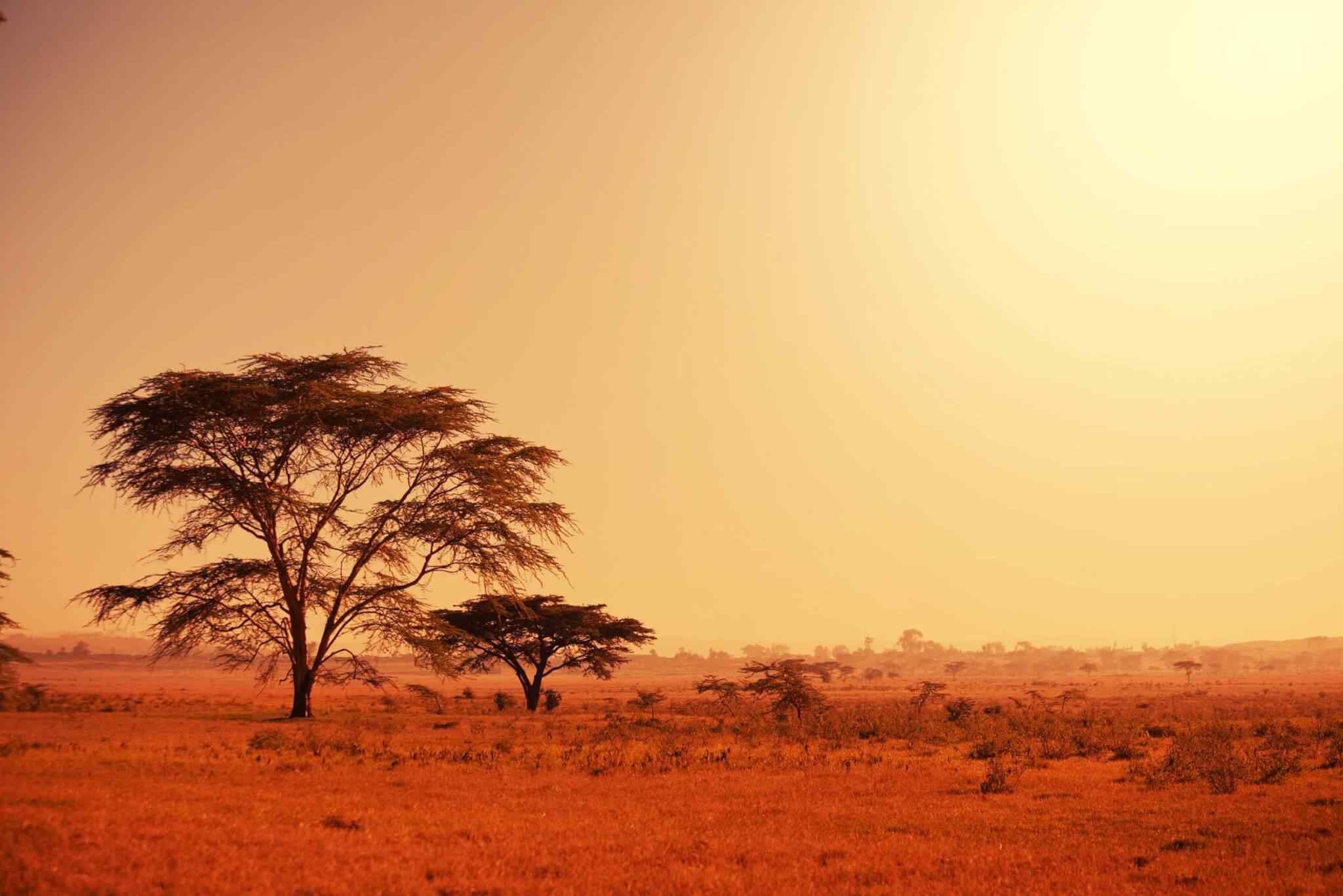 https://conchholidays.com/wp-content/uploads/2018/09/tour-africa-02.jpg
