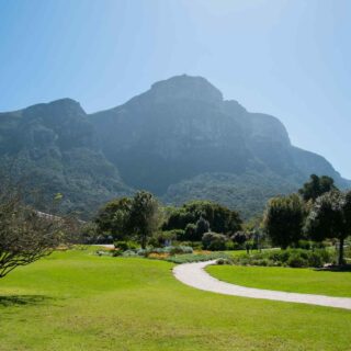 https://conchholidays.com/wp-content/uploads/2018/09/tour-capetown-03-320x320.jpg