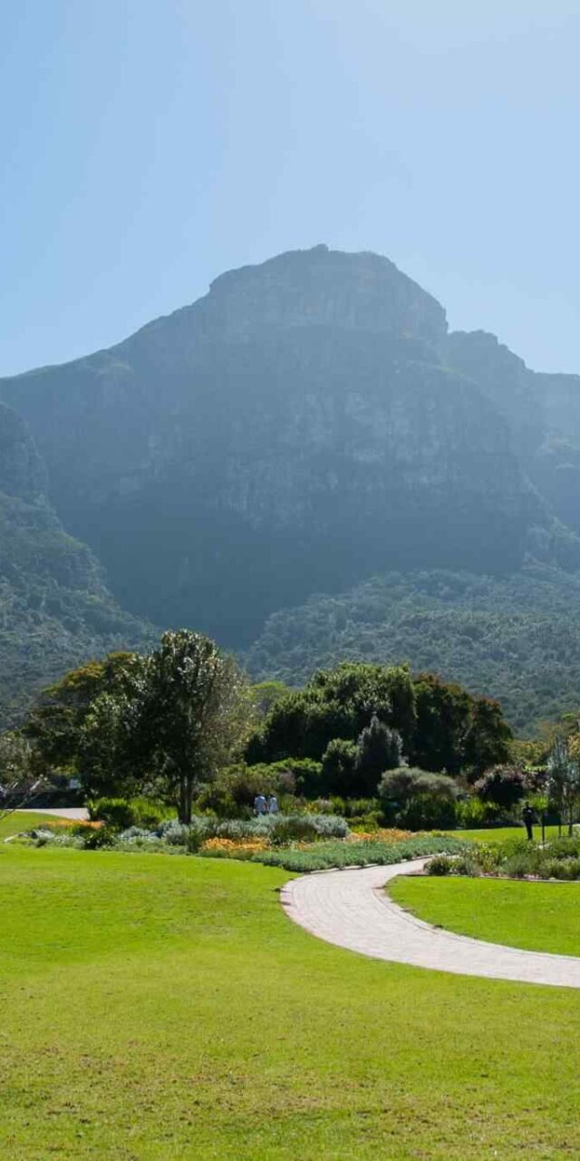 https://conchholidays.com/wp-content/uploads/2018/09/tour-capetown-03-640x1280.jpg