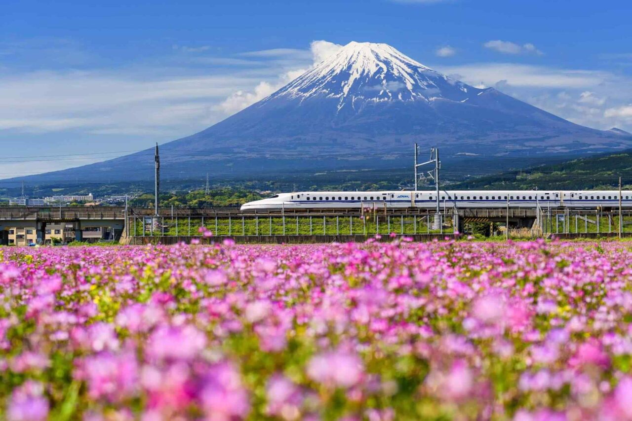 tour-osaka-04 https://conchholidays.com/wp-content/uploads/2018/09/tour-osaka-04-1280x854.jpg