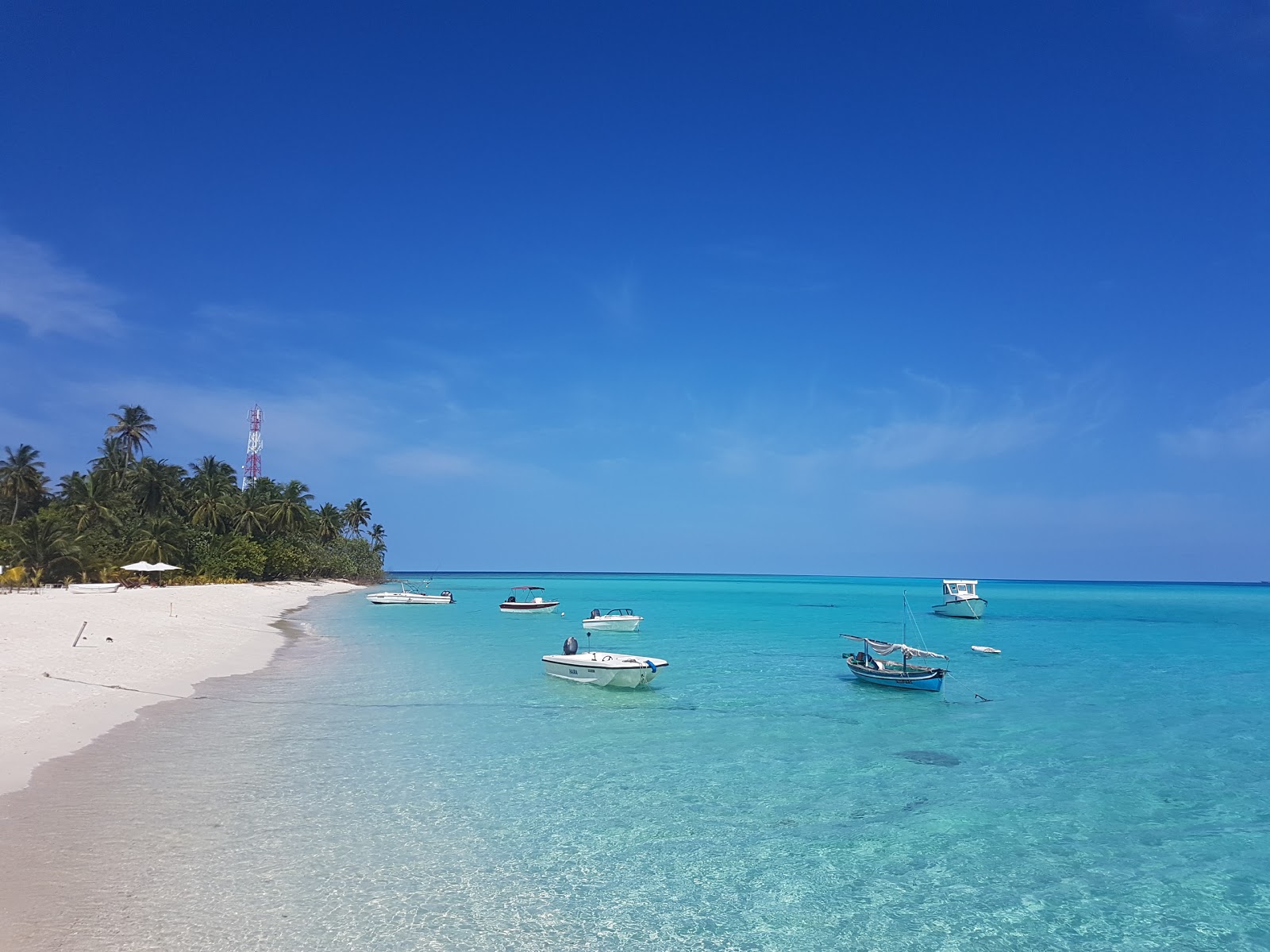 vaavu thinadhoo beach
