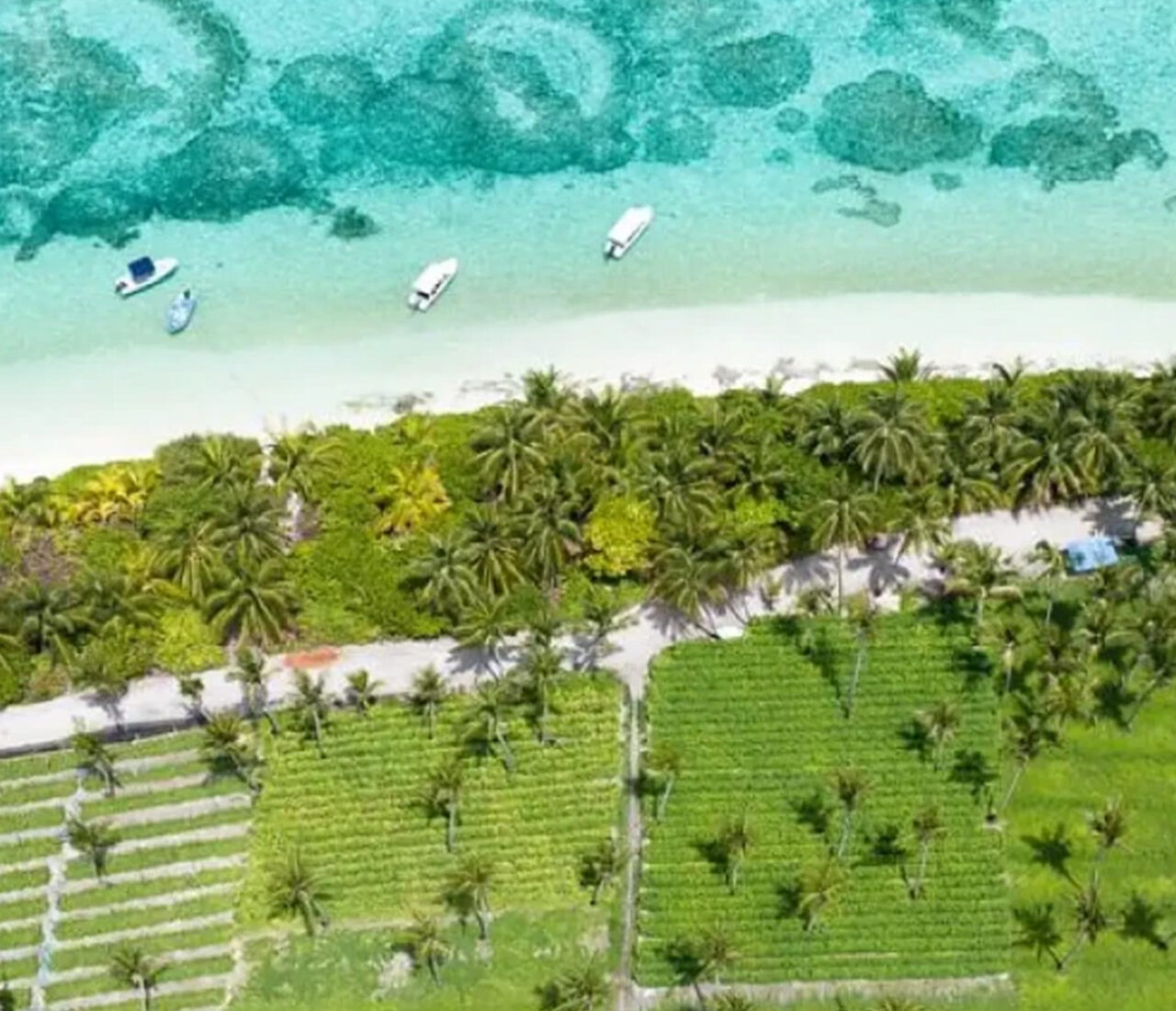 https://conchholidays.com/wp-content/uploads/2026/01/Thoddoo-aerial-view-conch-holidays-cover.webp-1280x1100.jpg