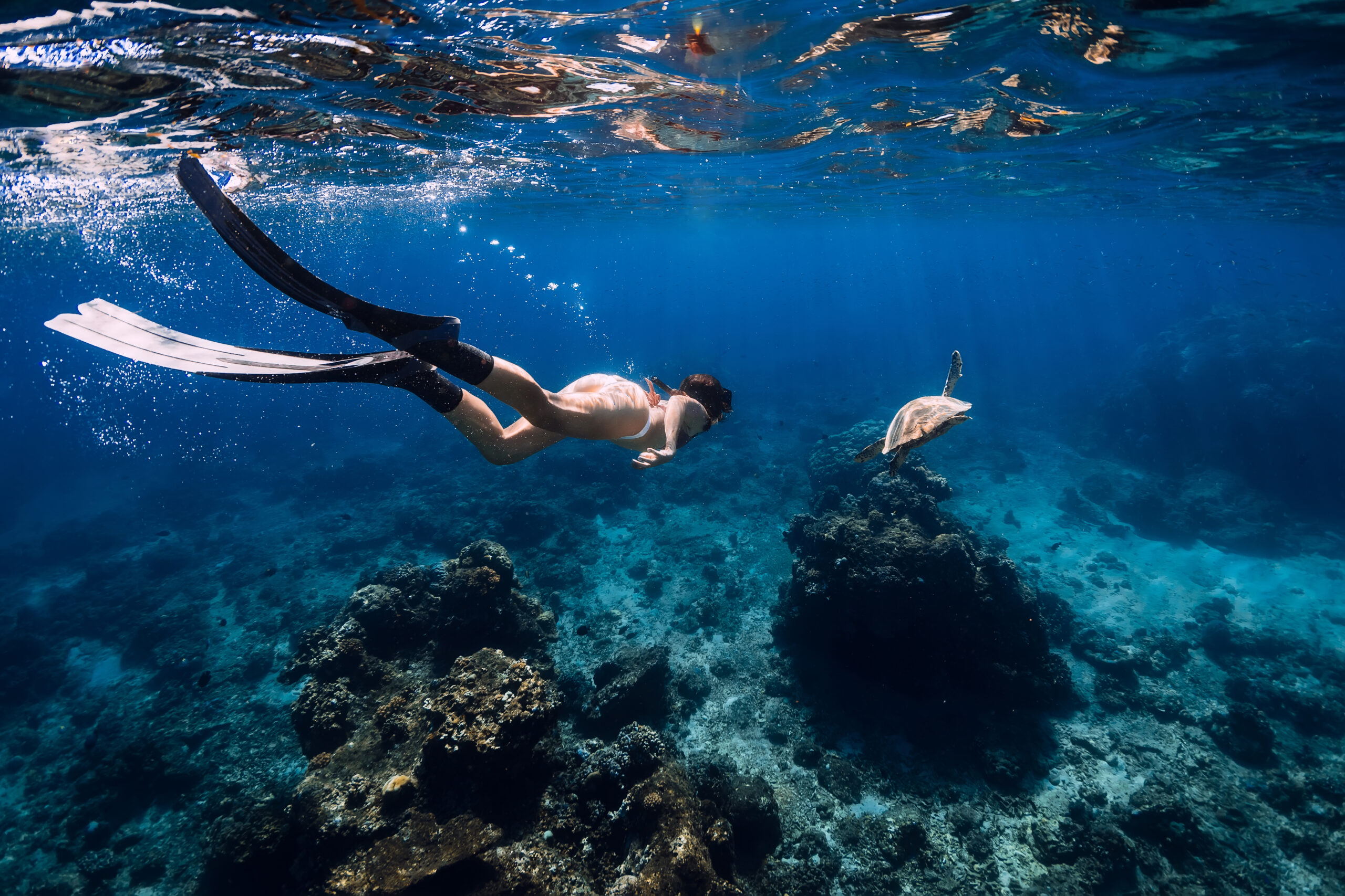 Free diver with fins glides underwater with turtle in ocean. Snorkeling with sea turtle.