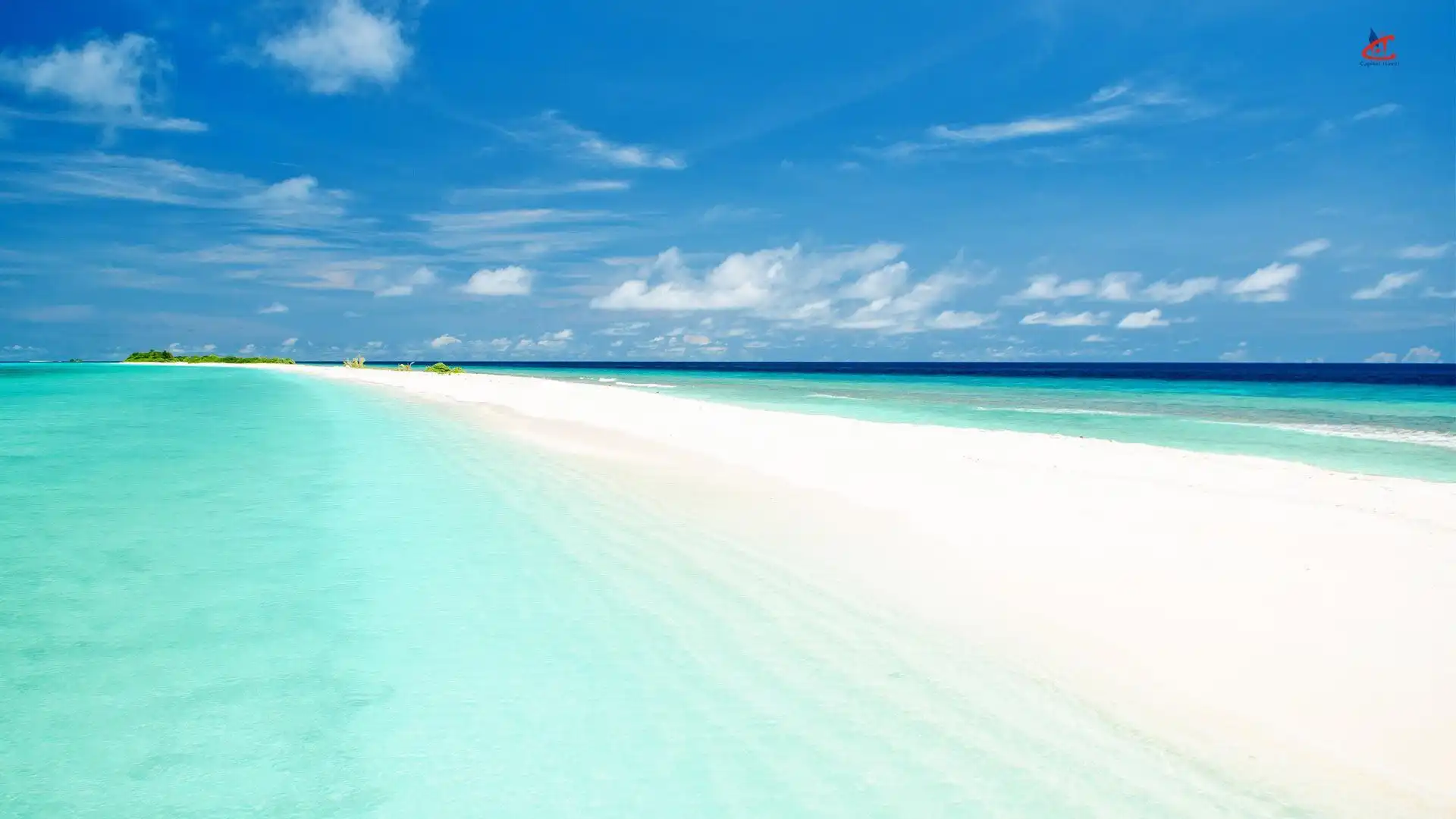 eydhafushi-excursions-conch-holidays