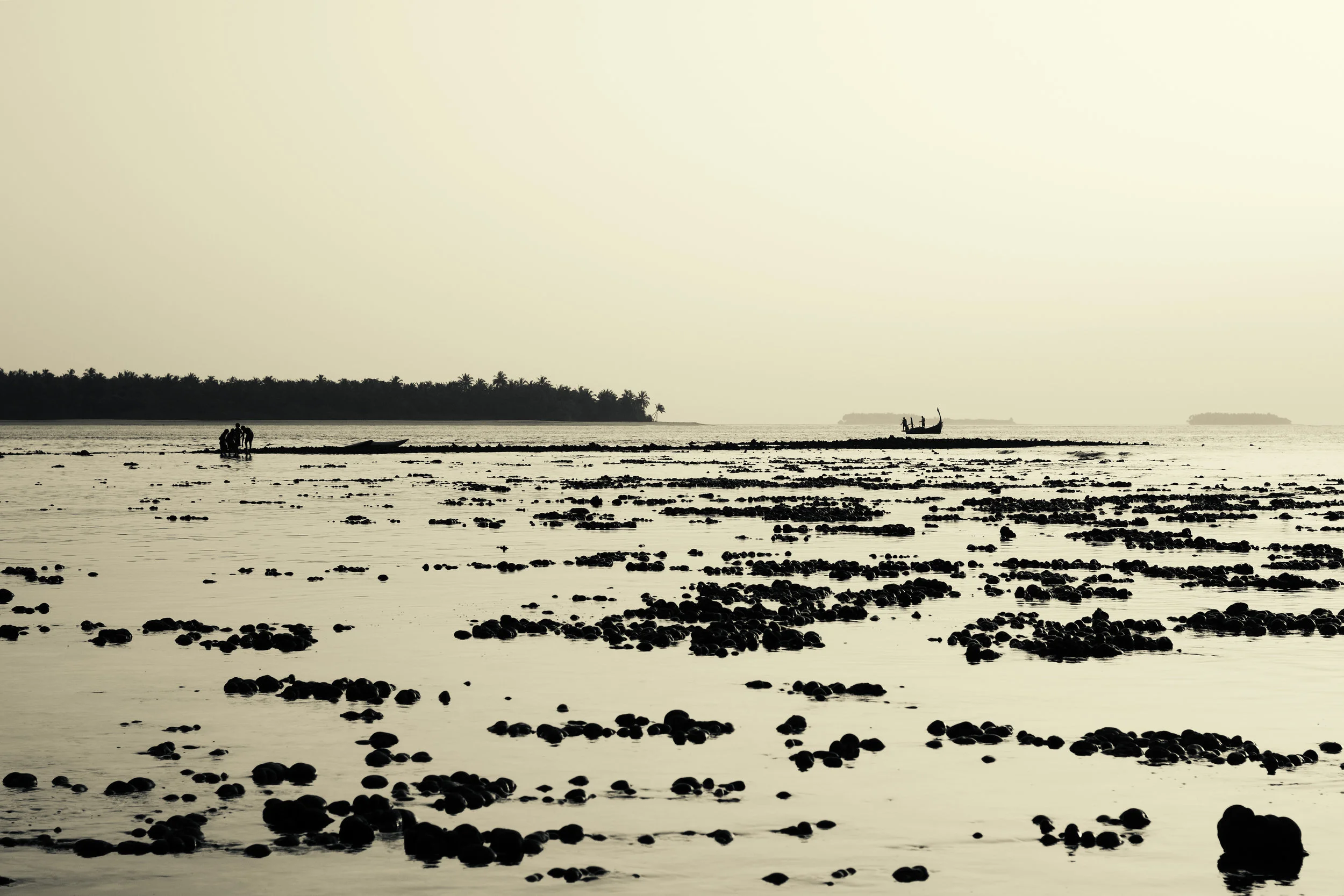 eydhafushi-lagoon-low-tide-conch-holidays