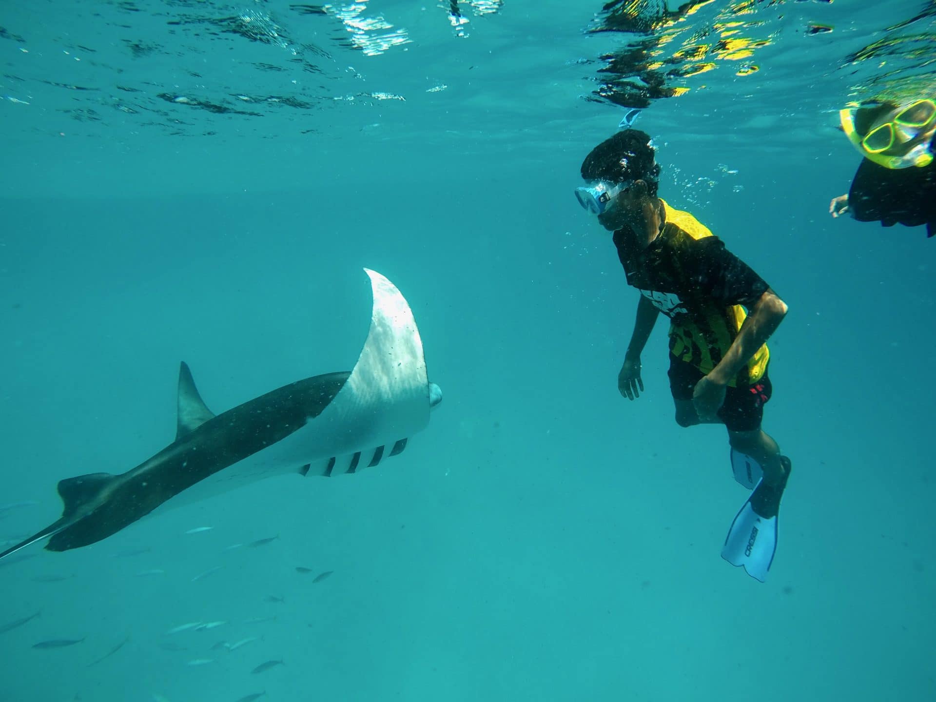 https://conchholidays.com/wp-content/uploads/2026/01/eydhafushi-manta-snorkelling-conch-holidays.jpeg