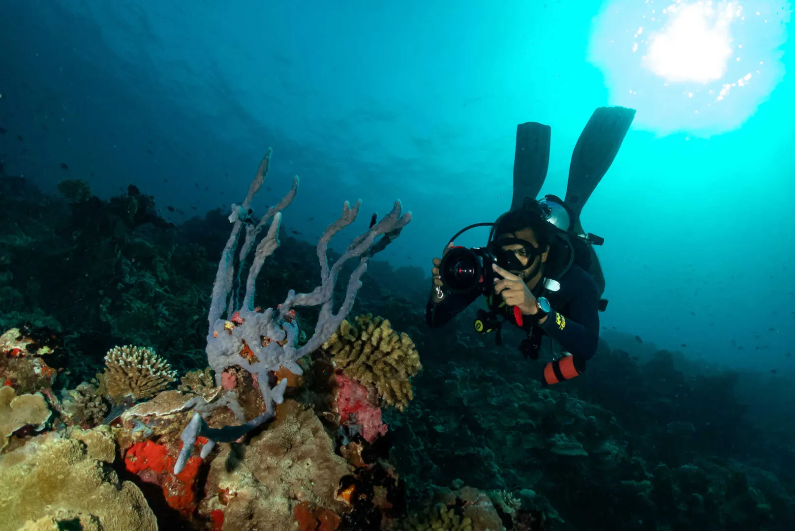 himmafushi-scuba-diving-conch-holidays