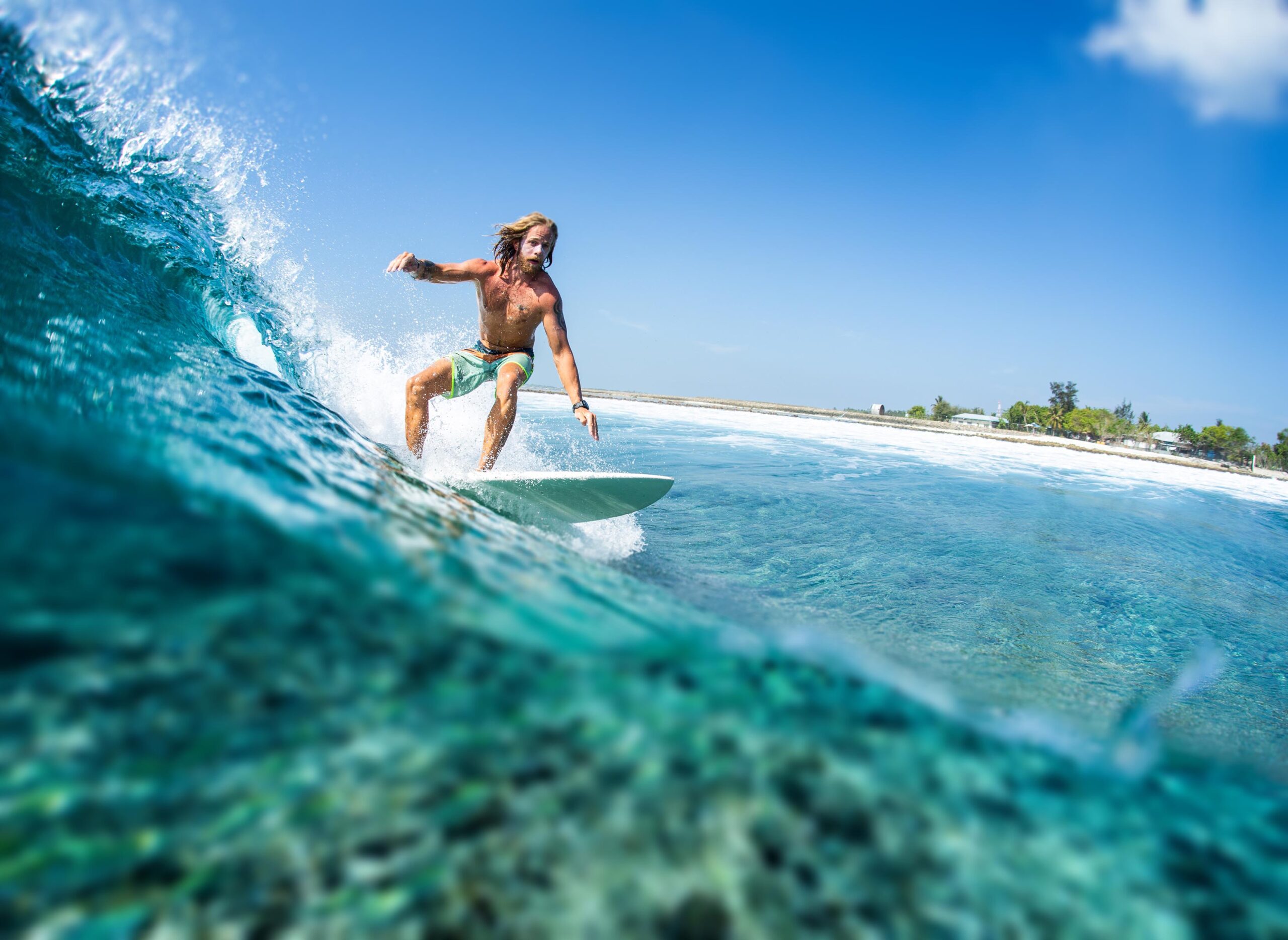 HIMMAFUSHI / MALDIVES - MARCH 08, 2019: Caucasian long haired surfer rides the tropical ocean wave with green island on the horizon and some underwater view of the coral reef.Tilt shift effect applied