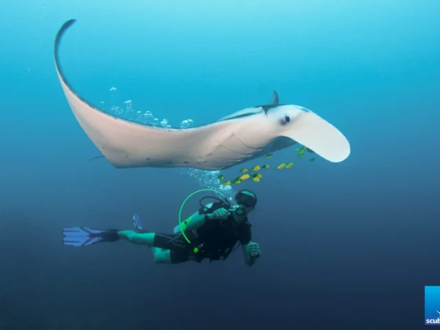 Dive and Explore Rasdhoo