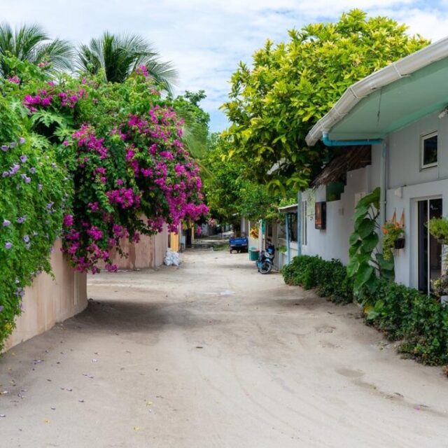 https://conchholidays.com/wp-content/uploads/2026/01/ukulhas-maldives-local-island-conch-holidays-640x640.jpg