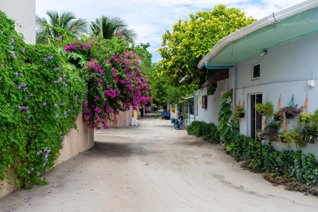 ukulhas-maldives-local island-conch holidays