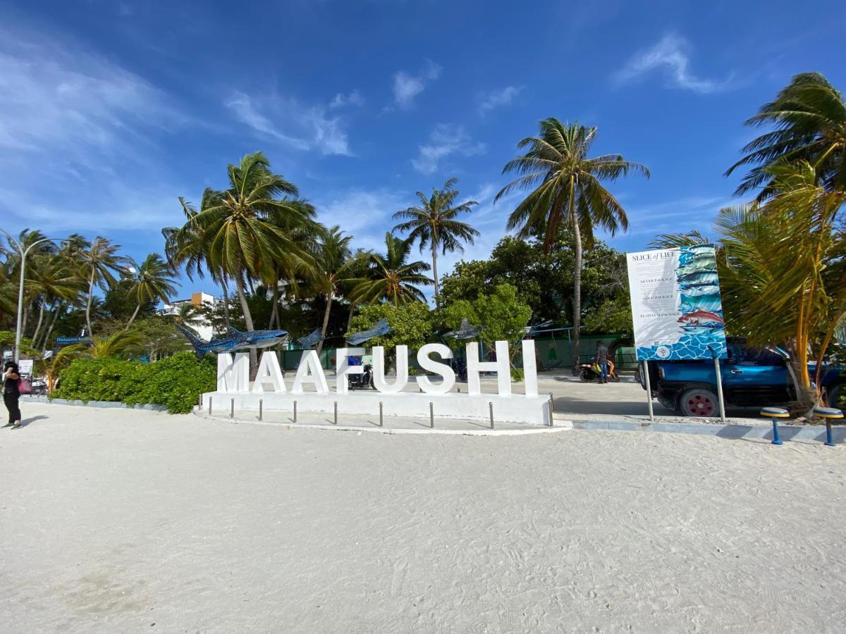 maafushi-arrival-conch-holidays
