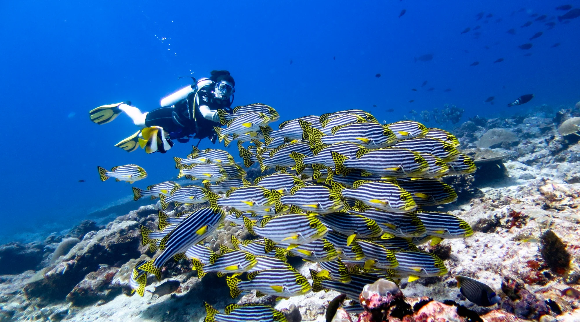 scuba-dicing-maafushi-south-male-conch-holidays