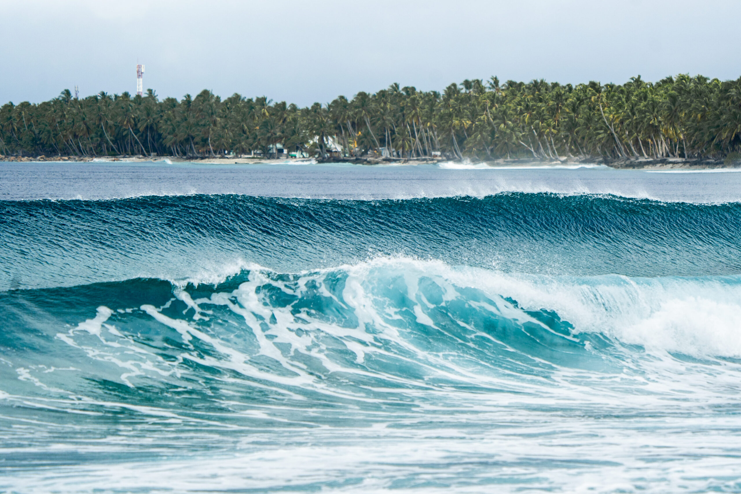 Eleyis-fuvahmulah-surfing-conch-holidays
