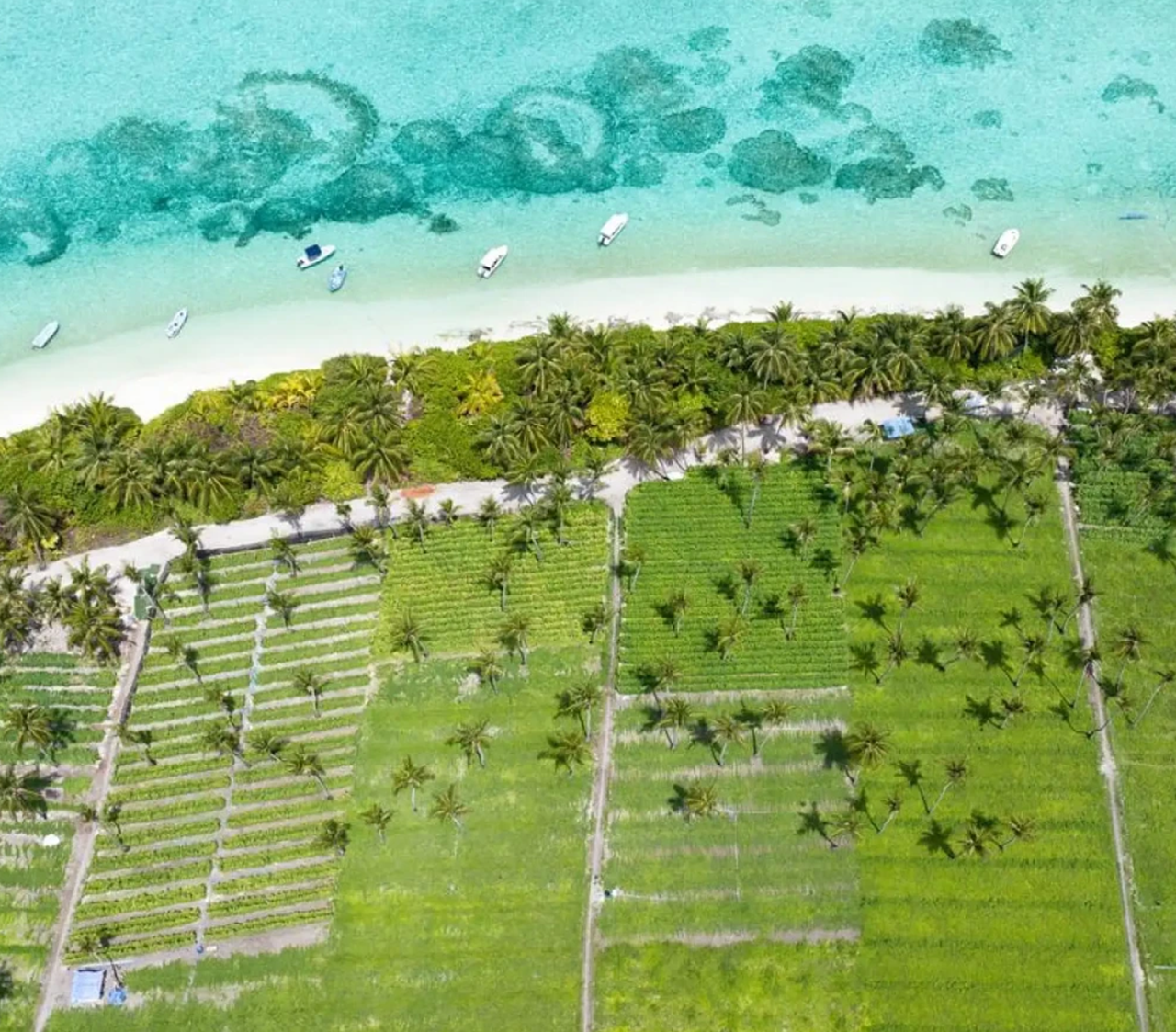 Tropical Escape in Thoddoo