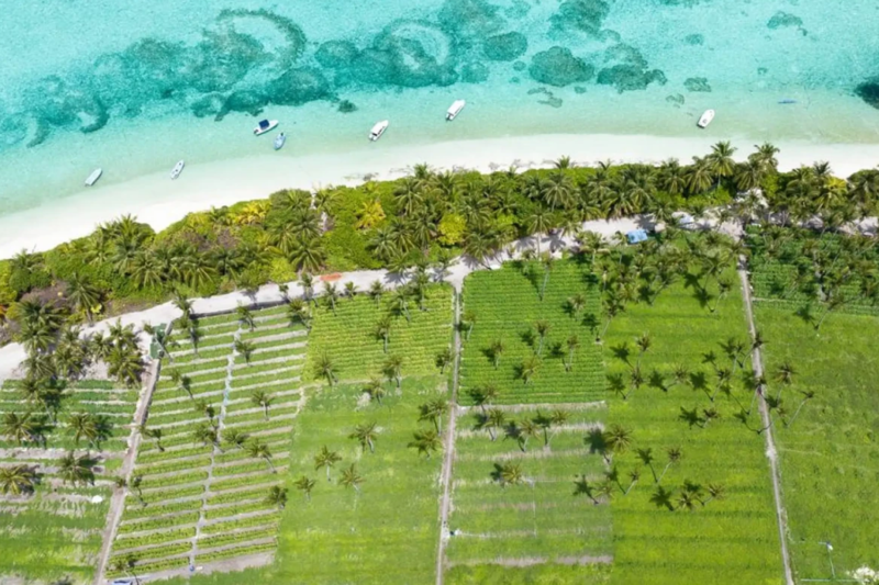 Tropical Escape in Thoddoo