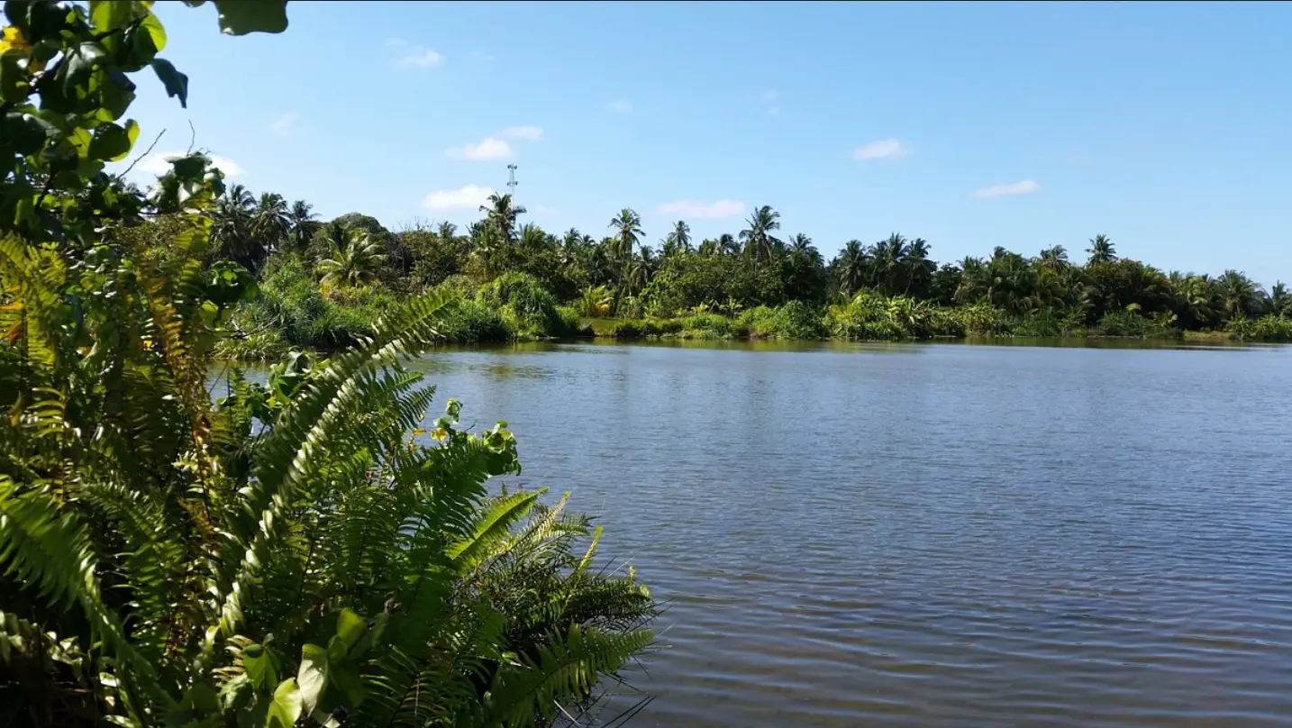 fuvahmulah-mangrooves-conch-holidays