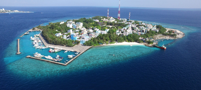 image_villigili_conch-holidays