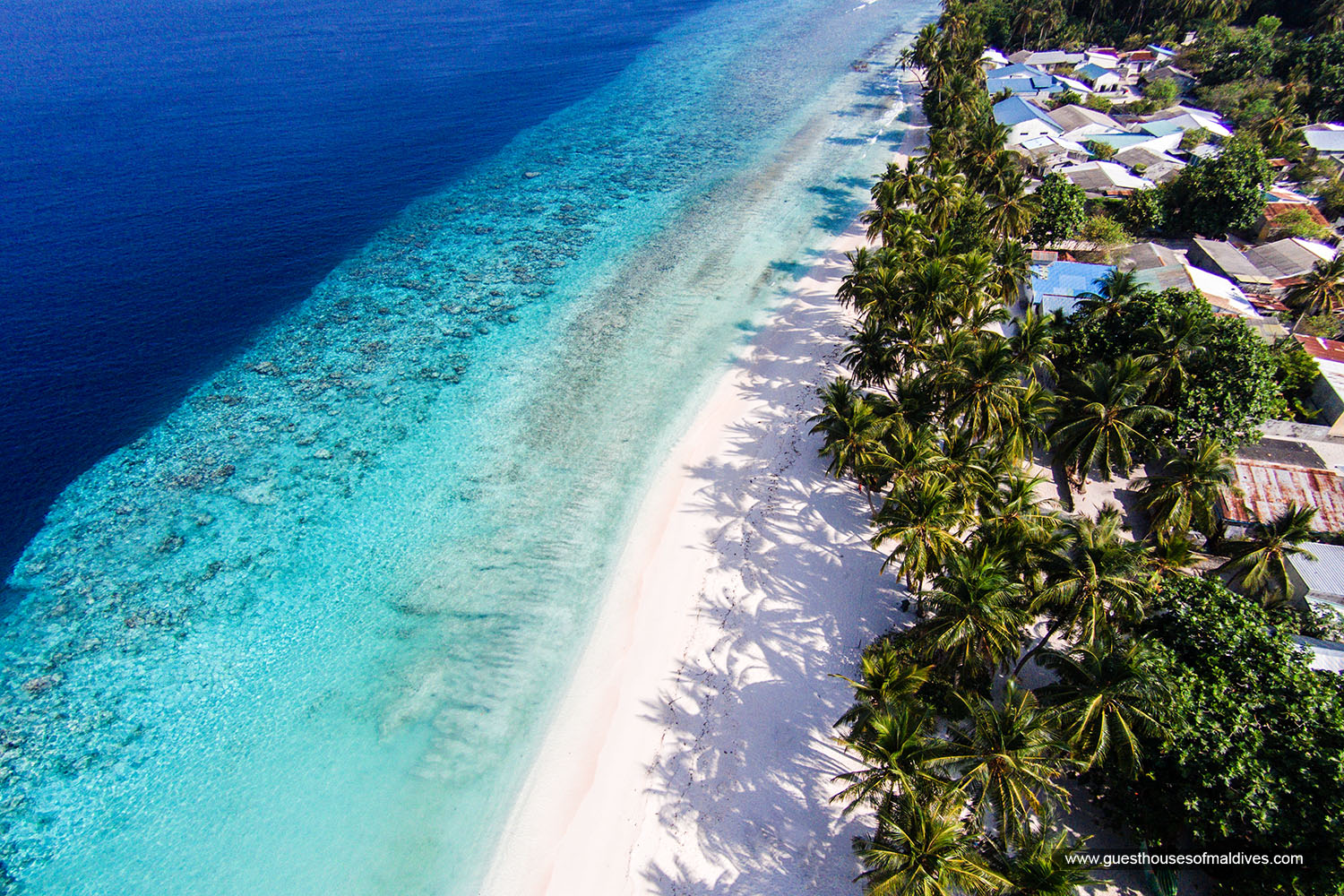 maalhos-island-beach-conchholidays