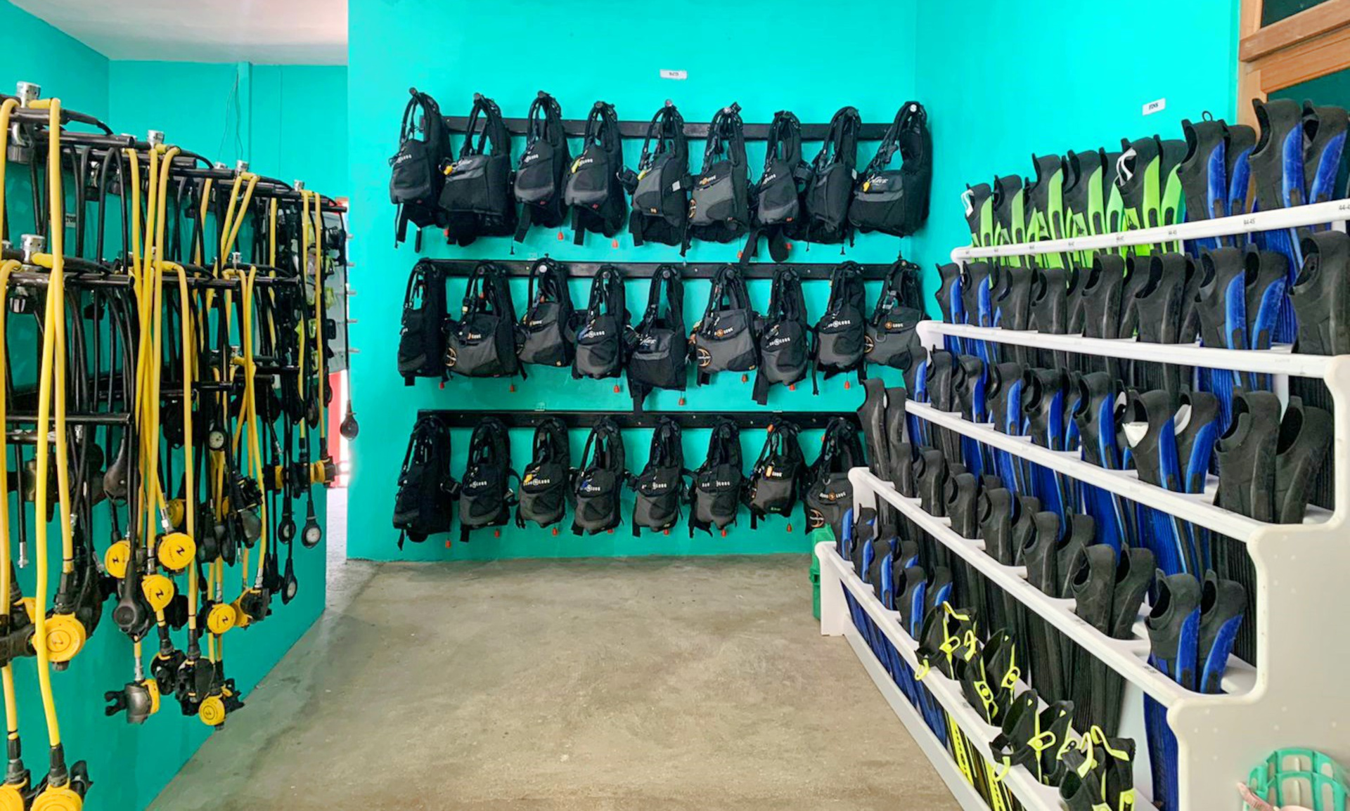 scuba-diving-centre-maalhos-conch-holidays