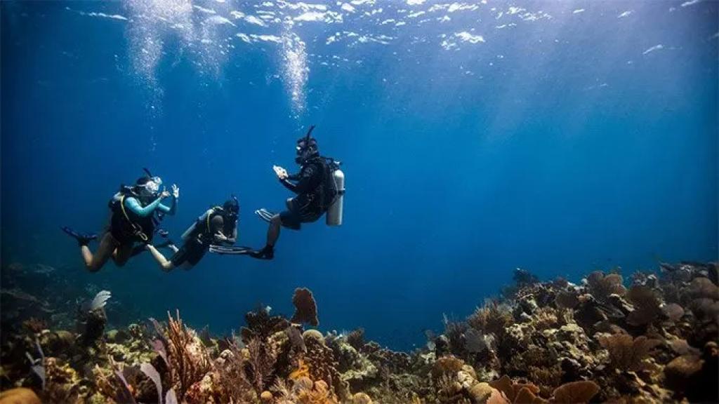 scuba-diving-course-conch-holidays