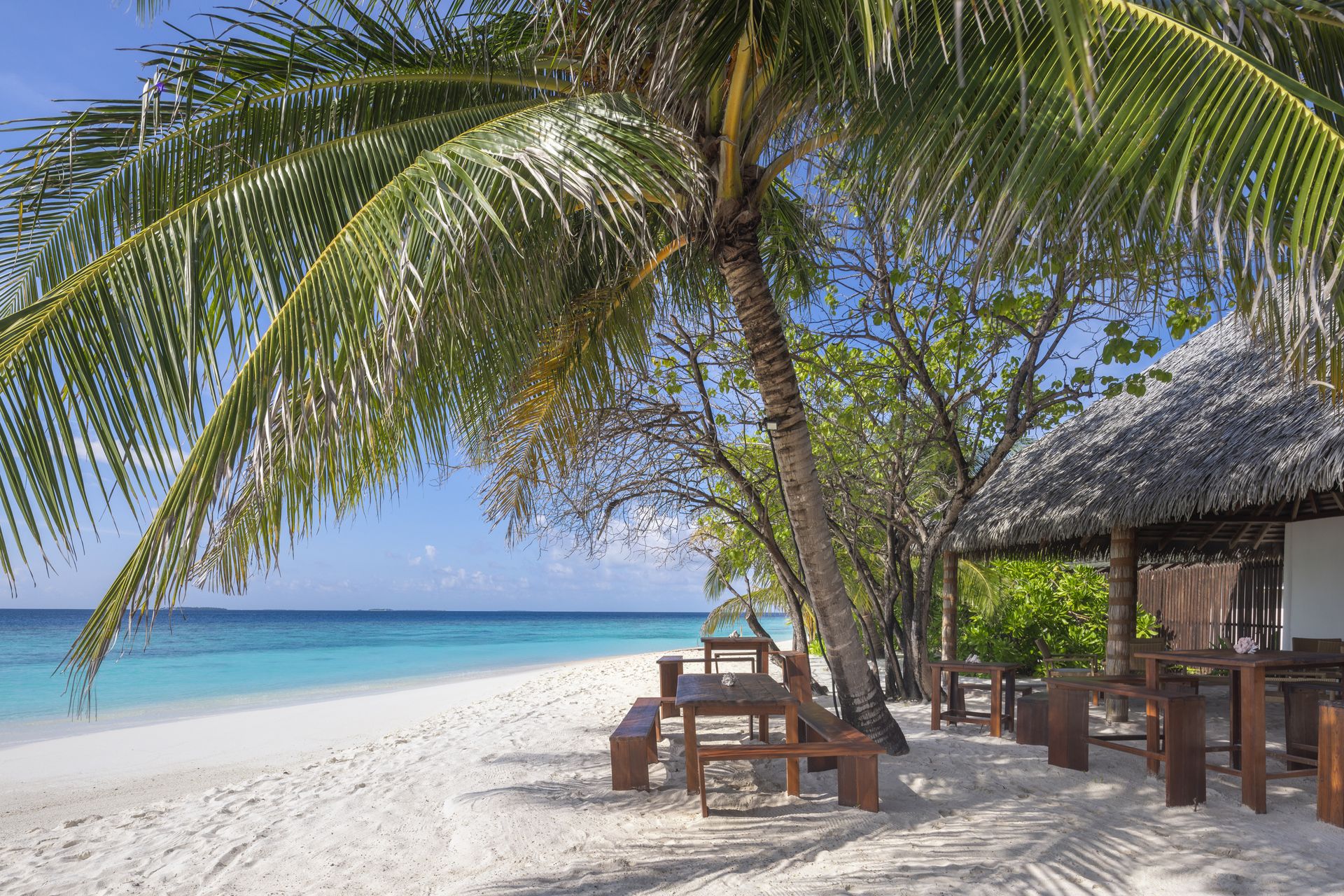 Albino Bar 3 - Adaaran Select Meedhupparu_Conch Holidays