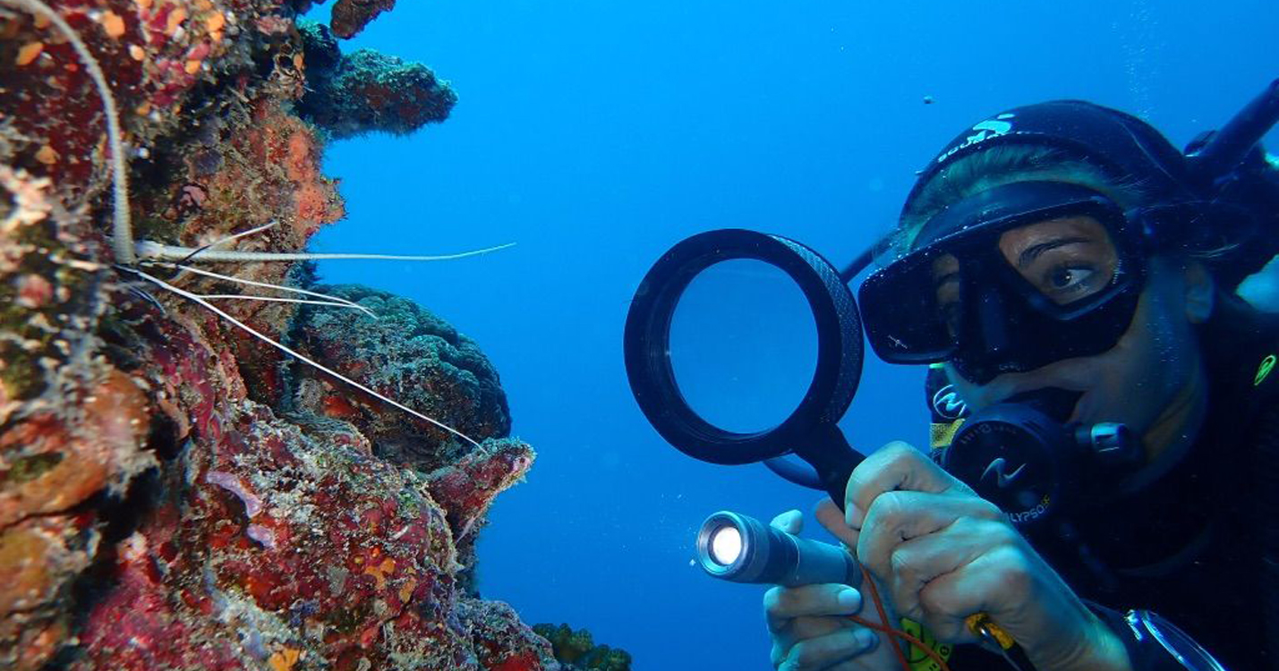 dive-spot-Adaaran Select Meedhupparu_Conch Holidays_Maldives