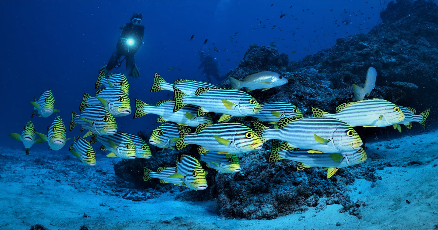 scuba diving 1_Adaaran Prestige Vadoo_Aerial_Conch